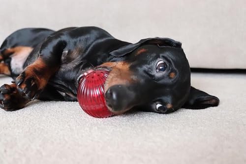 Pet Qwerks Blinky Babble Ball - Flashing Interactive Dog Toy - Large - size: Large, style: Blinky Babble