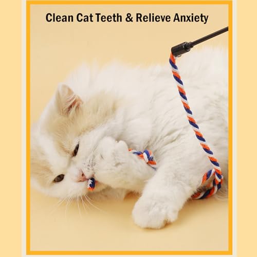 KABASI 3PCS Cat String Wand Toys, Interactive Cats Teaser Wand with Bell