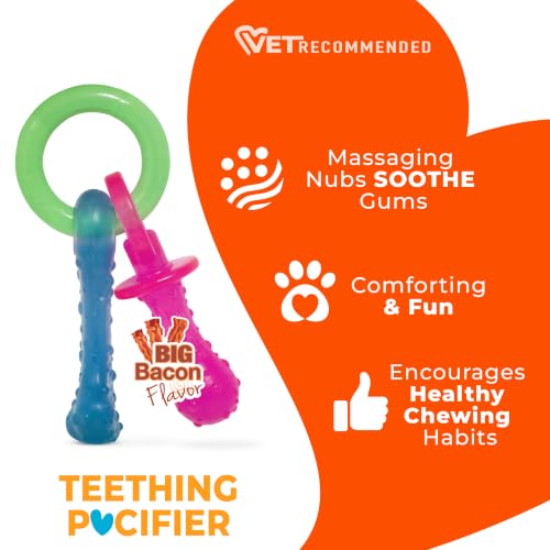 Nylabone Puppy Pacifier Chew Toy, Teething Toys for Puppies up to 25 lbs - color: Pacifier, size: Small