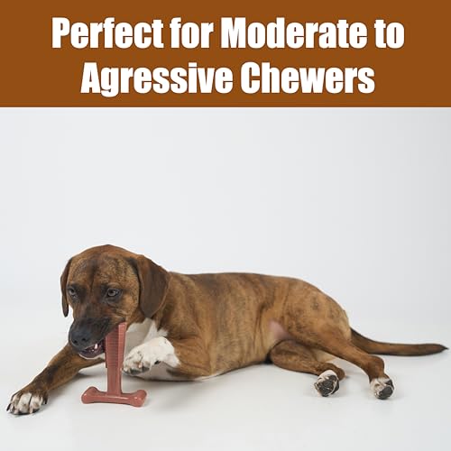 SPOT Bam-Bones Plus T-Bone Dog Chew, Beef, 6in, 30-60 lb Heavy Chewers - size: Medium