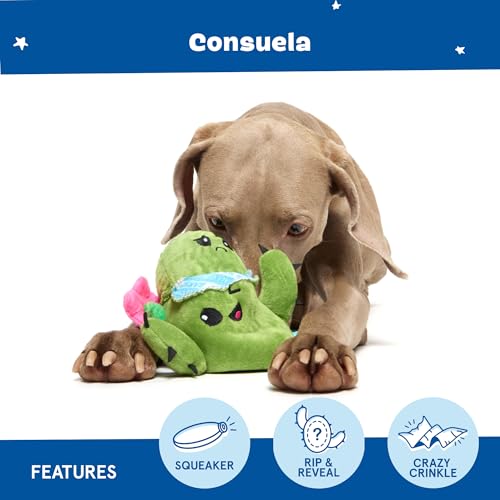 BarkBox Consuela the Cactus 2-in-1 Interactive Plush Dog Toy - color: Consuela the Cactus - Large