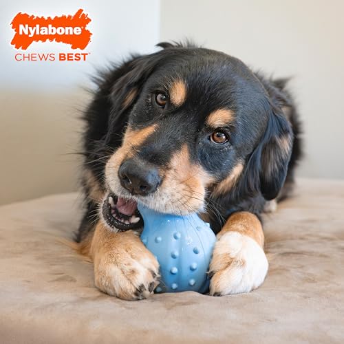Nylabone Strong Chew Rubber Stuffable Cone Treat Toy, Bacon Flavor, X-Large - color: Blue, size: X-Large