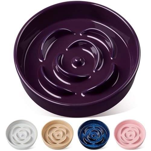 vancasso Slow Feeder Dog Bowl, 3 Cups Ceramic Puzzle Dish for Large Breed - color: Dark Purple, size: L - 3 Cups