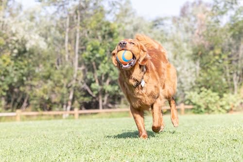 Chuckit! Ultra Ball Dog Toy - Size XXL - for Dogs 100+ lbs - Made from Durable Rubber - Super Bouncy - Floats in Water - 4-inch Diameter - XXL (Pack of 12) - color: Ultra, size: XXL (Pack of 12)