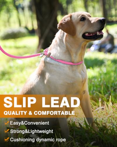 Dog Leash Slip Lead Braided Rope Pet Training Loop Leashes 5ft 6ft 8ft - color: Pink