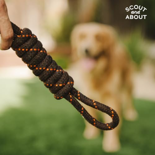 P.L.A.Y. Cute Outdoor Dog Toys - Scout & About Tug Rope Chew Toy, Great for Puppies & Small, Medium, Large Dogs - Machine Washable, Ultra-Durable, Good for Agility Training, Tugging, Fetch (Small) - size: Small