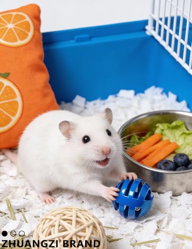 ZHUANGZI 5-Pack Bell Ball Hamster Toys for Dwarf Hamsters and Gerbils - size: 1.5''