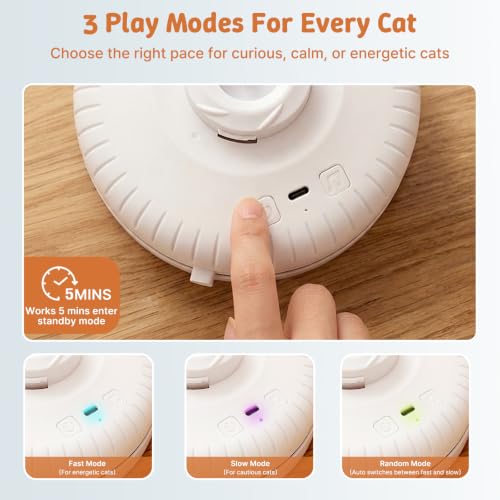 Interactive Cat Toys, Automatic Hide and Seek Feather Toy for Indoor Cats