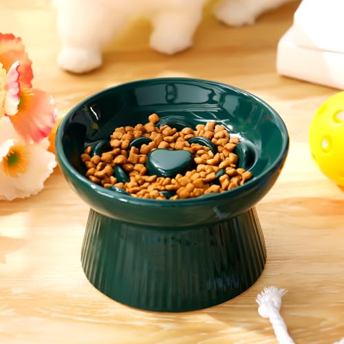 Tioncy 1 Pcs Ceramic Elevated Slow Feeder Cat Bowl, Dark Green - color: Dark Green