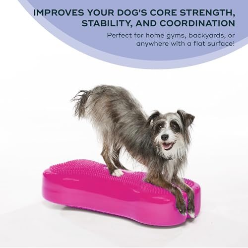 FitPaws® K9FITbone® Dog Balance Platform, Exercise Equipment, Razzleberry - color: Razzleberry