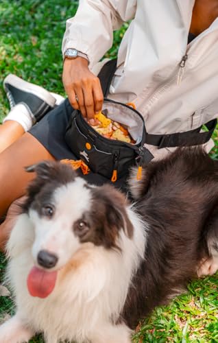 OllyDog Backcountry Day Bag | Hands-Free Dog Training Treat Pouch | Fanny/Hip Pack with Zipper Closure & Built-in Poop Bag Dispenser | Removable Waist Clip (Raven S'25) - color: Raven S'25