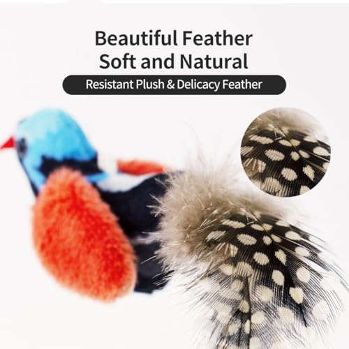 Interactive Cat Toys for Indoor Cats,Catnip and Feather,2Pcs - style: 2 Pack birds