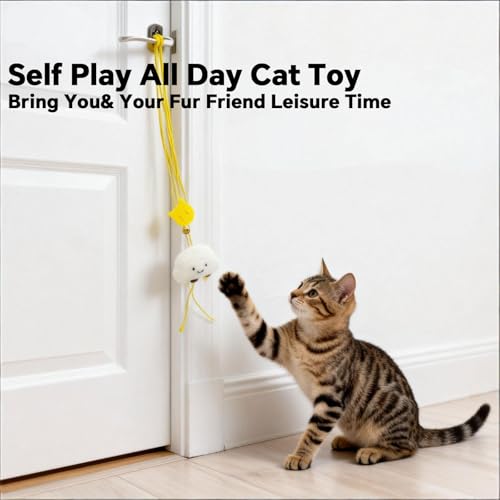 Hanging Cat Feather Toy 5 Pcs, Interactive Retractable Indoor Kitten Chase Exercise Toys Refill, Kitten Toys for Indoor Cats Self Play, Physical Mental Exercise for All Breeds and Species
