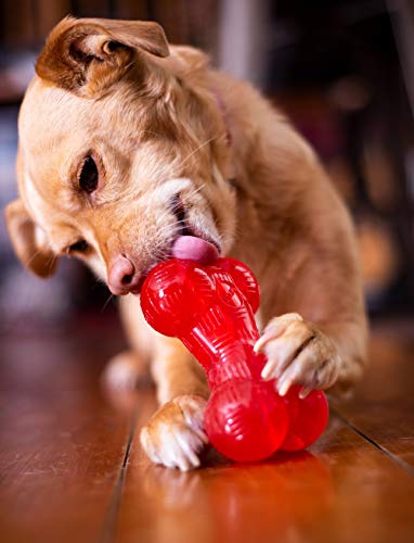 SPOT Play Strong Bone- Durable TPR Long Lasting Dog Chew for Aggressive Chewers, Hole for Treats, Virtually Indestructible Toy for Medium Dogs & Puppies - 5.5 inch - size: Medium