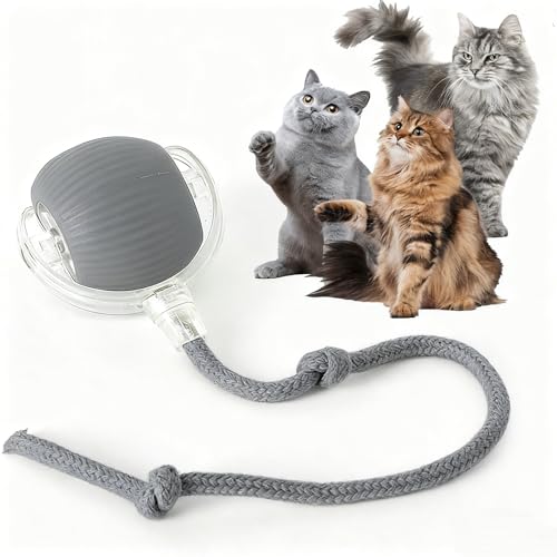 Rocfish Durable Interactive Cat Toys for Indoor Cats (Grey, 01) - color: grey01, size: 01