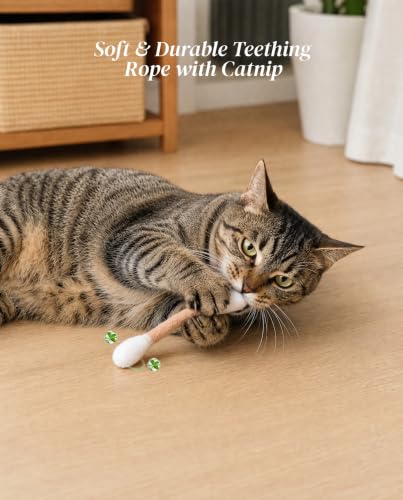 Swabs Cat Toys with Catnip, Cat Toys for Indoor Cats, 3Pcs - size: 3 Packs