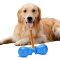 Bully Stick Holder - Improved Dog Treat Chew Holder,Fits Various Bully Sticks,Durable Safety Hold Device to Prevent Swallowed Ends and Choking, Small/Blue - size: Small, style: Bone