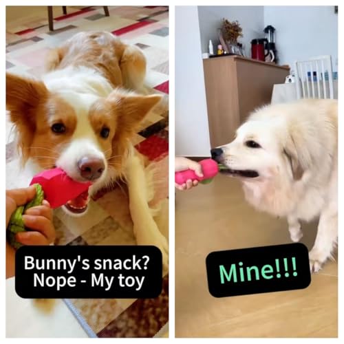 MewaJump Dog Chew Toys for Aggressive Chewers, Rubber Squeaky Dog Toys - color: carrot pink