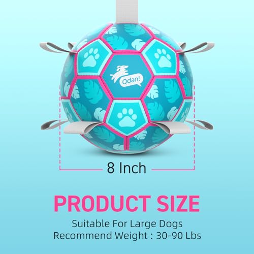 QDAN Dog Toys Soccer Ball with Straps, Pool Dog Water Toy, Outside Ball - color: Lake Blue, size: Medium Size 2 (6 Inch)