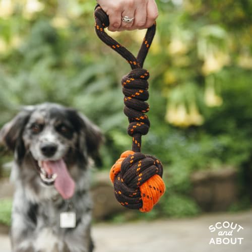P.L.A.Y. Cute Outdoor Dog Toys - Scout & About Tug Ball Rope Toy, Great for Puppies & Small, Medium, Large Dogs - Machine Washable, Ultra-Durable, Good for Agility Training, Tugging, Fetch (Large)
