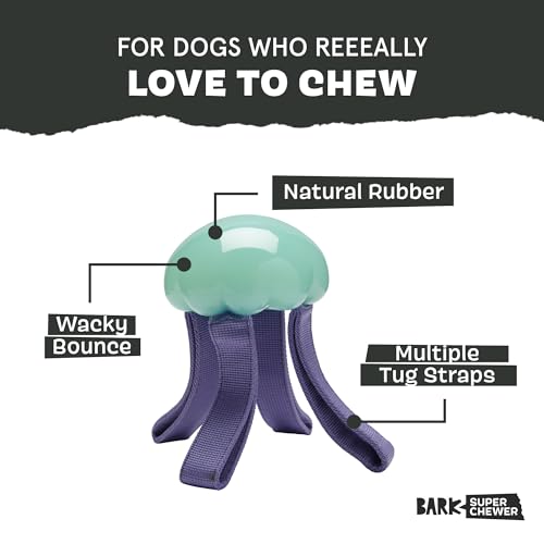 BarkBox Jelly Fetch Dog Toy - for Medium Dogs - color: Jelly Fetch-Medium