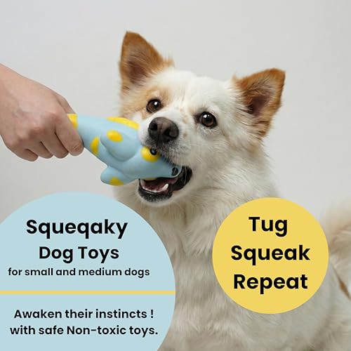Squeaky Dog Toys [2-Pack], Natural Latex Interactive Squawking Toy for Small Medium Dogs, Durable Bite-Resistant Puppy Chew Toys for Boredom & Teething