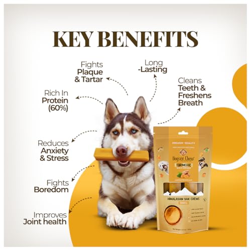 Dogsee Yak Chews for Dogs with Turmeric 1lb (Large - 4 Bars) 100% All Natural Treats for Large Breed Dog Chews Long Lasting for Joint Inflammation, 60% Protein Dental Sticks