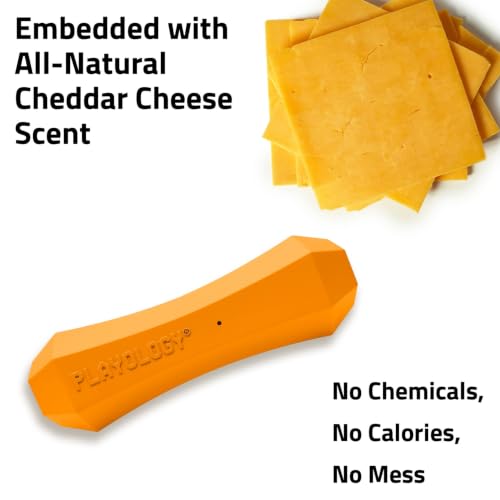 Playology Squeaky Chew Stick - Scented Dog Toy - Jumbo, Cheddar Scent - size: Jumbo, style: Cheddar Cheese