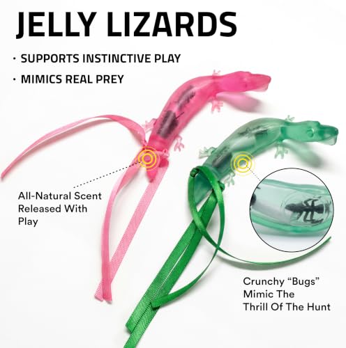 Playology Cat Toys - Catnip Infused Rubber Lizard with Ribbon, Value 2 Pack - style: Lizard 2 Pack