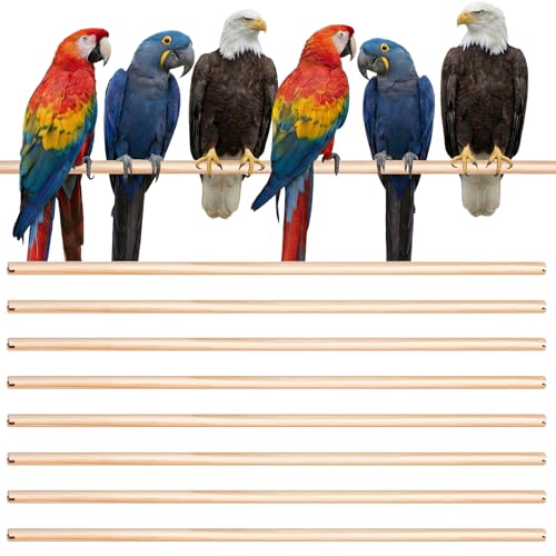 Sintuff Bird Perches Natural Wood Double Slots, 30 Inches, 8 Pcs - size: 30 Inches
