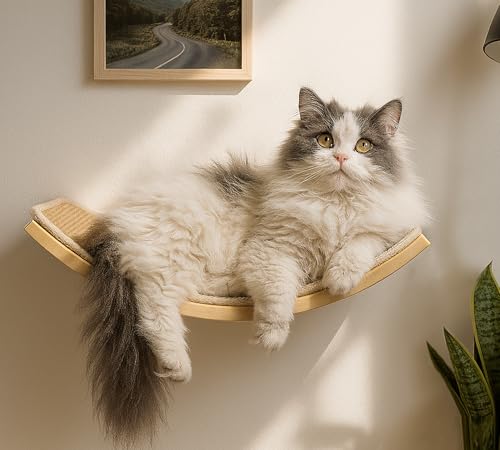 Curved Cat Wall Hammock with Scratchable Sisal Pad, Large Floating Cat Shelf for Wall, Wall Mounted Beige Bed for Playing, Climbing, and Sleeping - color: 1 Curved Bed (Sisal Mat)