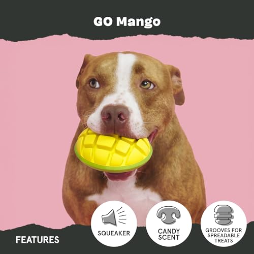 BarkBox Go Mango Tough Squeaky Rubber Dog Toy - Large - color: Go Mango-Large