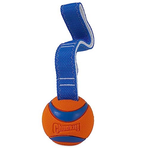 Chuckit! Ultra Tug Dog Toy (Medium) Flying Squirrel Fetch Dog Toy (Medium)