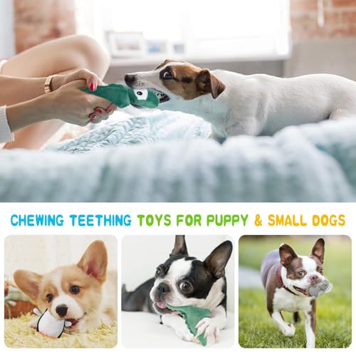Squeaky Dog Toy for Puppy Small Medium Dogs, Stuffed Samll Dog Toys 12 Pack - color: 12 Pack Mixed Animals