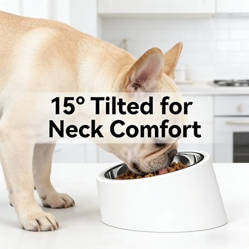 15° Tilted Slow Feeder- Non-Spill & Non-Slip Stainless Steel Dish for Small & Cats - color: White, size: L
