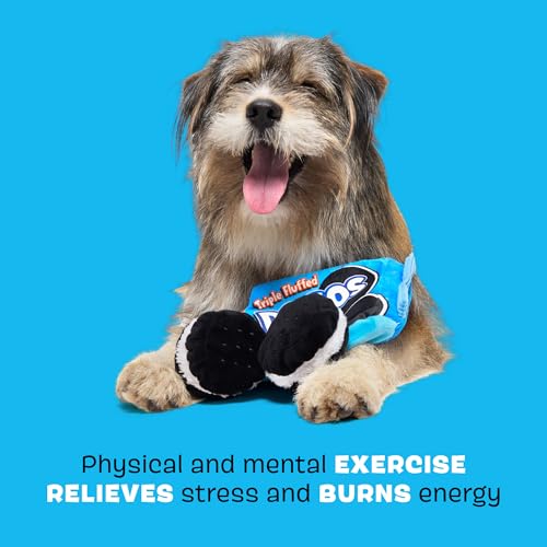 BarkBox Dogo Dunkers Plush Dog Toy - for Extra Small to Medium Dogs - color: Dogo Dunkers