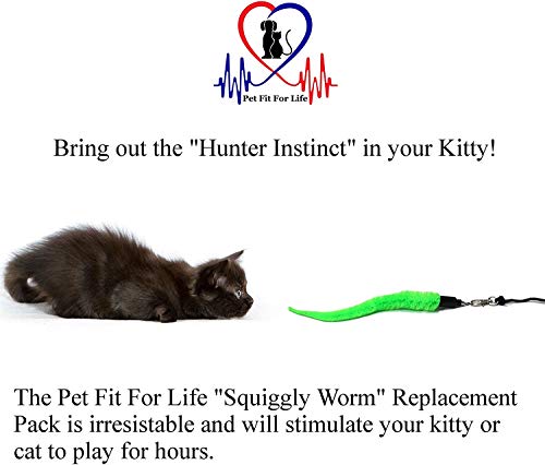 Pet Fit For Life 5 Piece Replacement Pack of Worms for Cat and Kitten Toy - style: 5 Squiggly Worms