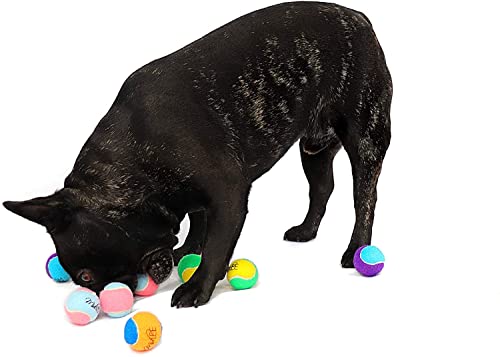 Midlee X-Small Dog Tennis Balls, Assorted, 1.5", Pack of 12