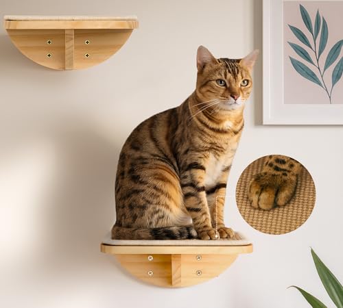 4-PCS Cat Wall Shelves with Foam-Padded Bed & Sisal Steps for Indoor Cats - color: Combo C (1 Foam-Mat Bed, 2 Steps&1 Shelf)
