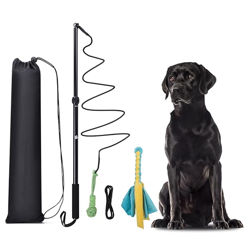 Flirt Pole Dogs, Dog Chase Toy with Squeakers Inside, Dog Fishing Pole Toy for Large Medium Small Dogs to Keep the Puppy Entertained and Physically Exhausted, Rope+Ball - style: Rope+Ball