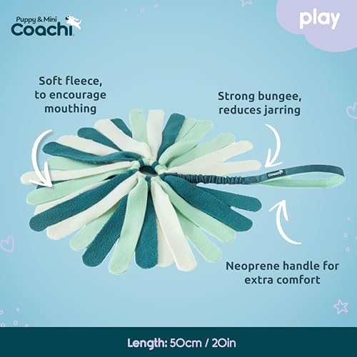 Coachi Puppy & Mini Tuggi Spider - Dog Toy for Tug of War & Play - style: Tuggi Spider