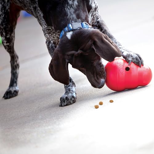 KONG Wobbler, Interactive Treat-Dispensing Dog Toy, for Medium/Large Dogs - size: Large (Pack of 1)