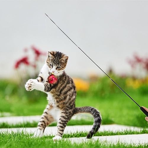 DONGKER Cat Teaser Wand,Retractable Kitten Fishing Pole Toy for Cat Kitten Reduce Boredom(Not Include Replacement)