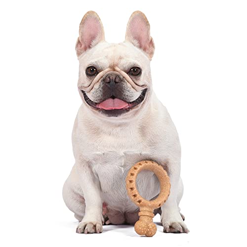 Arm & Hammer Barkies Ring Dog Chew Toy, Peanut Butter Flavor, 5.5 Inch - color: Ring Toy, size: 5.5 Inch