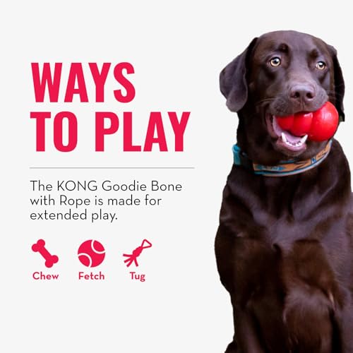 KONG Puppy Goodie Bone with Rope, Natural Rubber, for XS Puppies, Blue - color: Blue