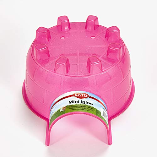 Kaytee Igloo Habitat Hideout for Hamster, Gerbil, Rat, Mini - size: Mini