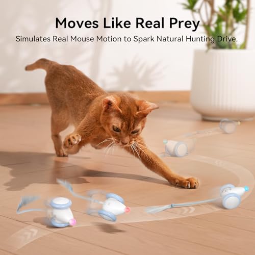 Cheerble Interactive Cat Toys for Indoor Cats, Automatic Moving Kitten Toys, Wicked Mouse Neo Cat Toy with Tail & Lights, Pet Cat Supplies, Rechargeable Cat Toys for Bored Indoor Adult Cats - color: Mouse Neo-Blue