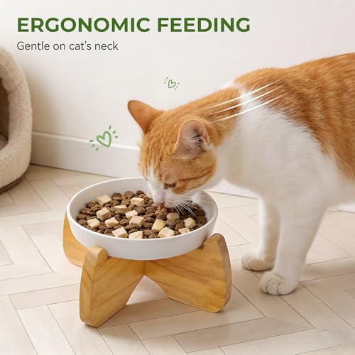 Raised Ceramic Cat Bowl 6.3" Wide Shallow Flat Bottom (2 Pack) - color: Raised Flat Bowl (2 Pack)