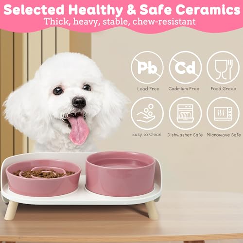 Elevated Slow Feeder Dog Bowls with Splash Proof Stand, Slow Eating 5X - color: Pink