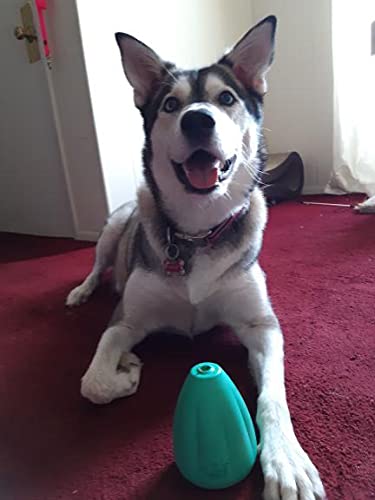 Chew King by Mammoth Premium Treat Dispensing Dog Toy, Durable Natural Rubber Chew Toy, Safety Air Vent, Interactive Enrichment Toy for Aggressive Chewers, Medium Pack of 2- Teal - color: 2-Pack Treater (Teal), size: Medium